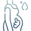 diabetes-gestacional